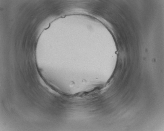 X0000077351390200611101603