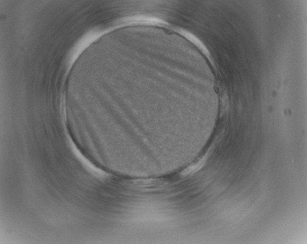 X0000077351391200611101603