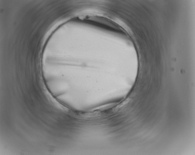 X0000077351392200611101603