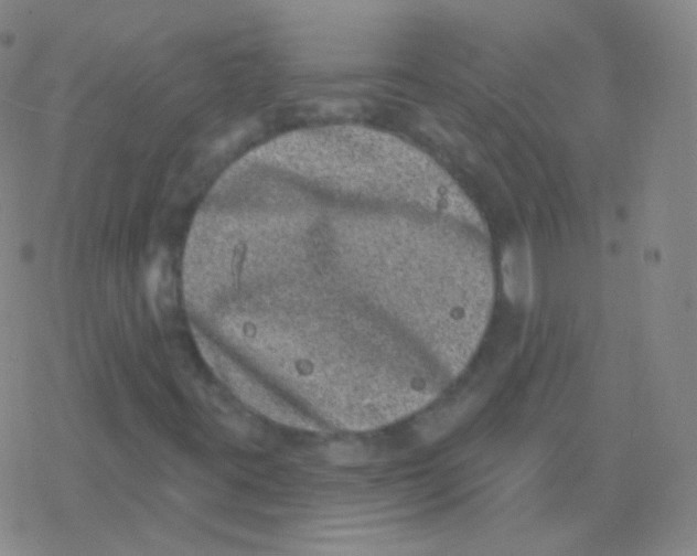 X0000077351395200611101602