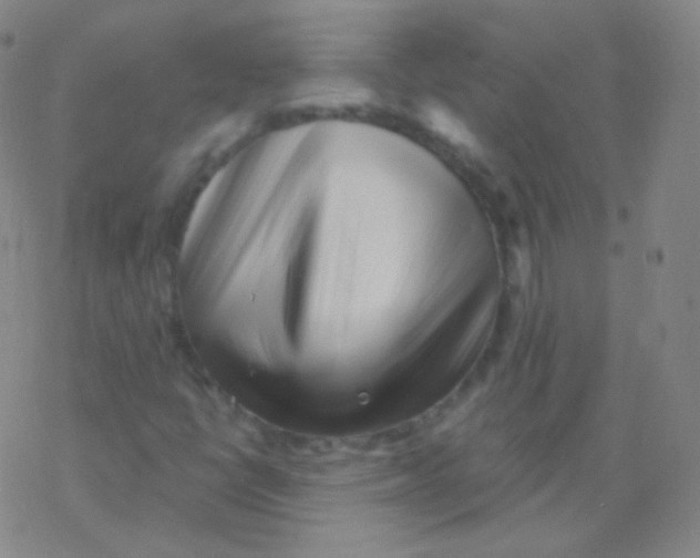 X0000077351398200611101602