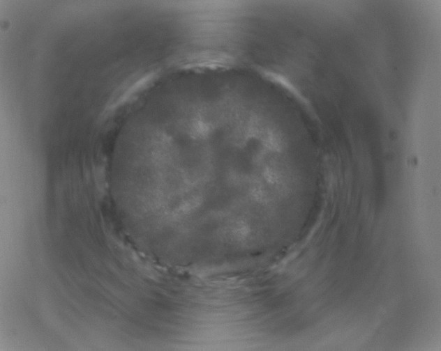 X0000077351399200611101602