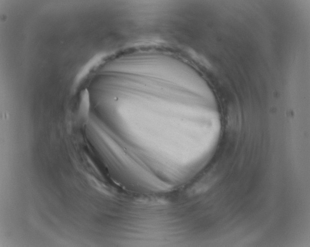 X0000077351400200611101602