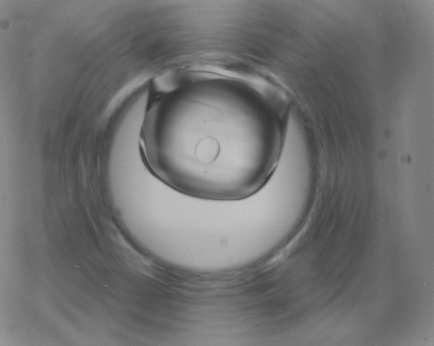 X0000077351402200611101602