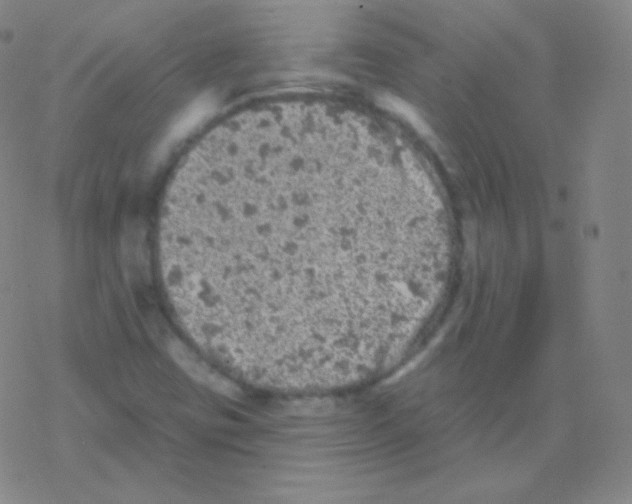 X0000077351403200611101602