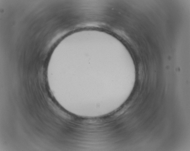 X0000077351404200611101602