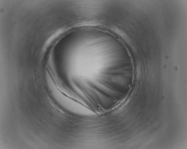 X0000077351406200611101602