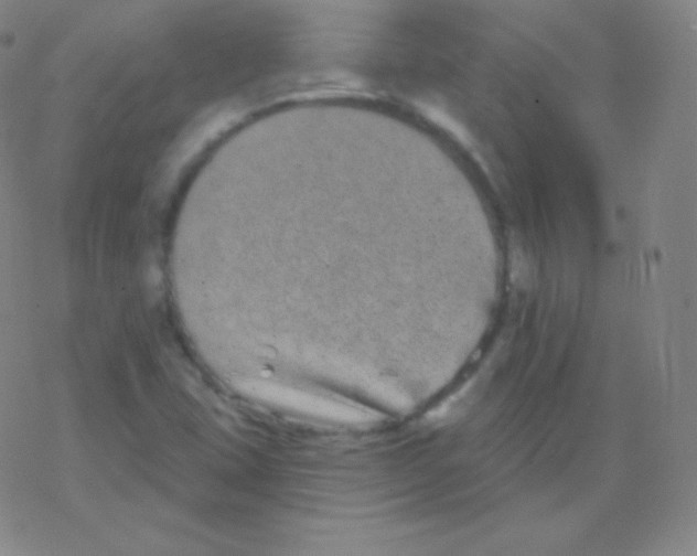 X0000077351407200611101602