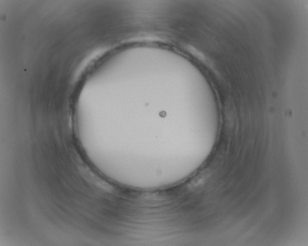 X0000077351408200611101602