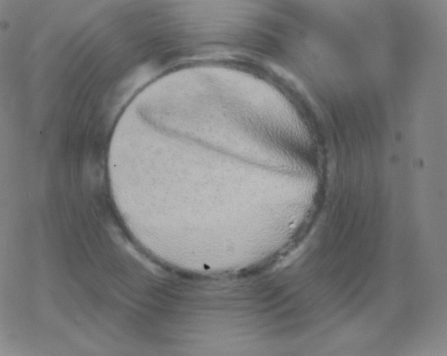 X0000077351409200611101602