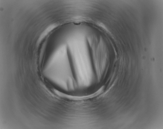 X0000077351410200611101602