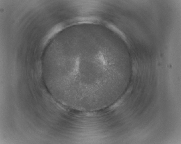 X0000077351411200611101602