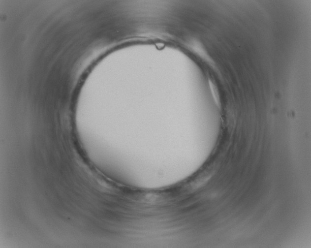 X0000077351412200611101602