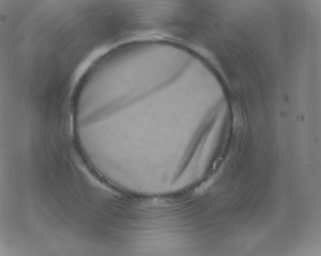 X0000077351414200611101602