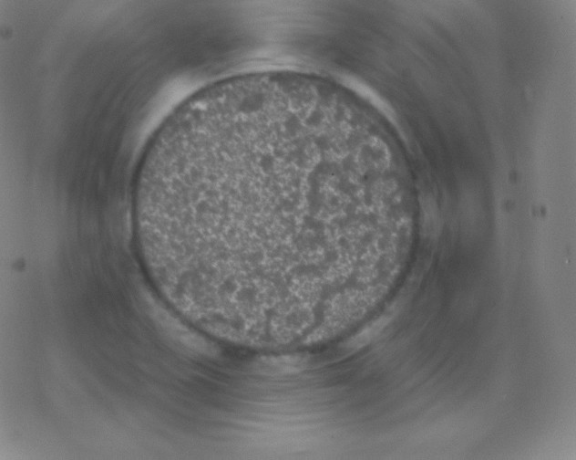 X0000077351415200611101602