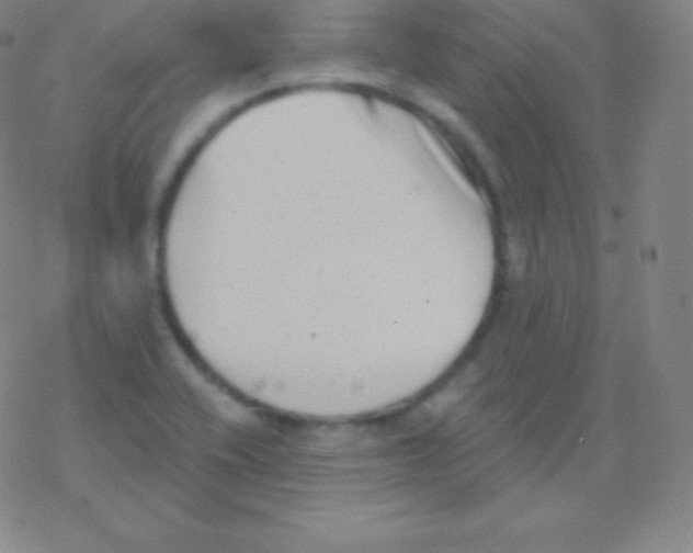 X0000077351416200611101602