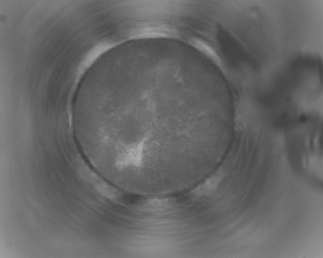 X0000077351419200611101602