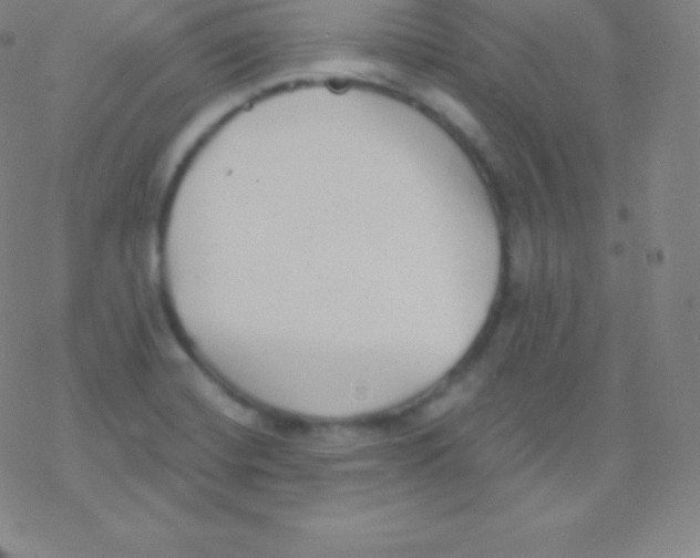 X0000077351420200611101602