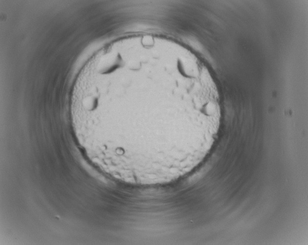 X0000077351421200611101602