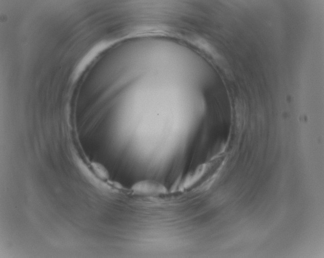 X0000077351422200611101602