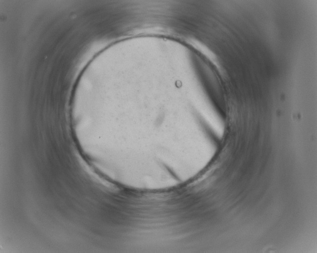 X0000077351423200611101602