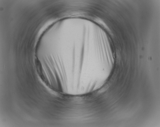 X0000077351424200611101602