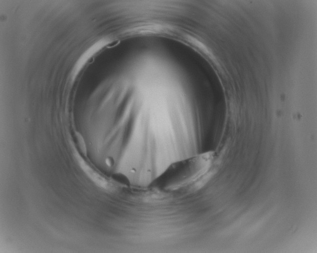 X0000077351426200611101602