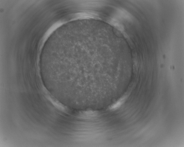 X0000077351427200611101602