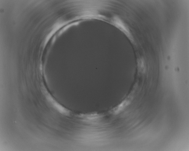 X0000077351428200611101603