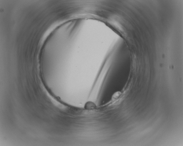 X0000077351430200611101603