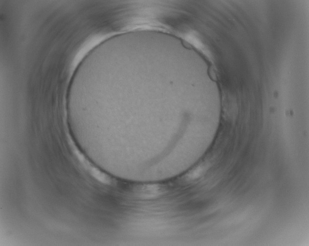 X0000077351431200611101603