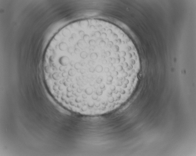 X0000077351432200611101603