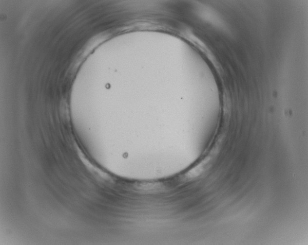 X0000077351433200611101603