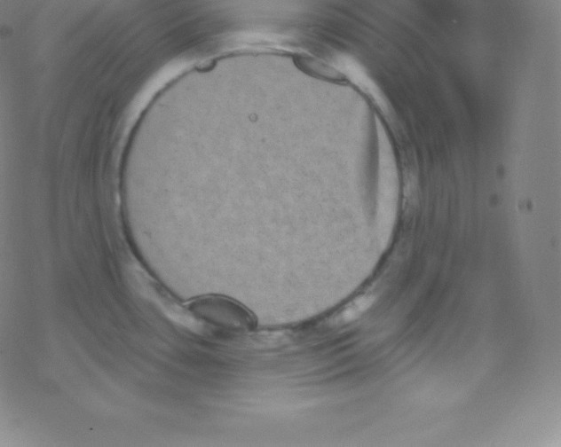 X0000077351435200611101603