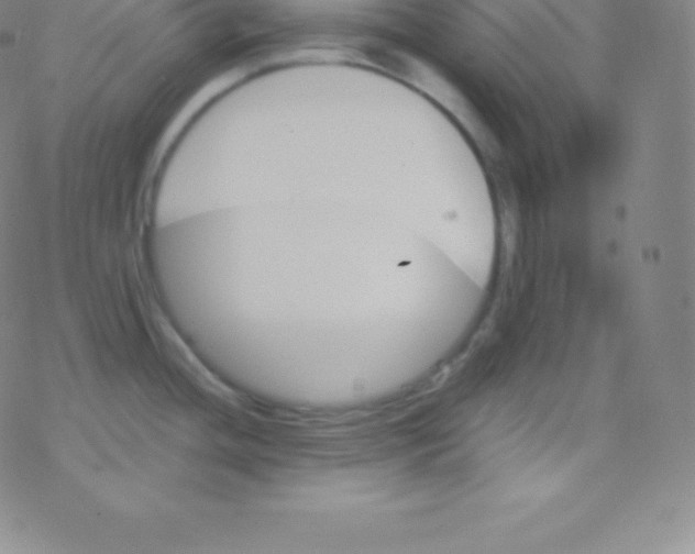 X0000077351436200611101603