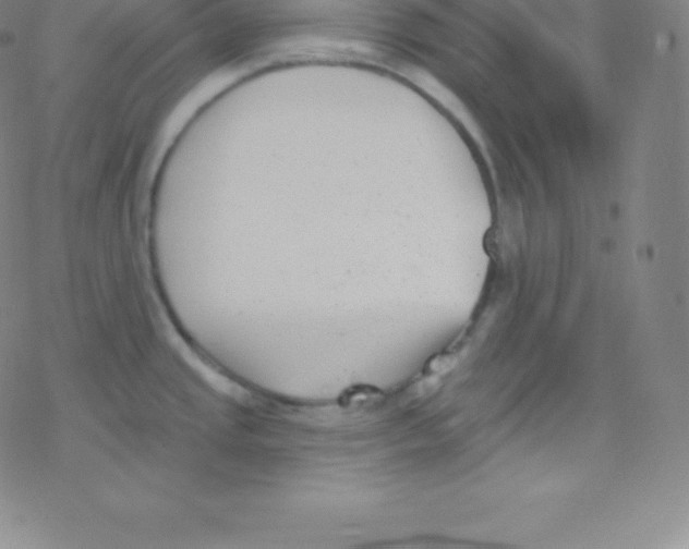 X0000077351437200611101603