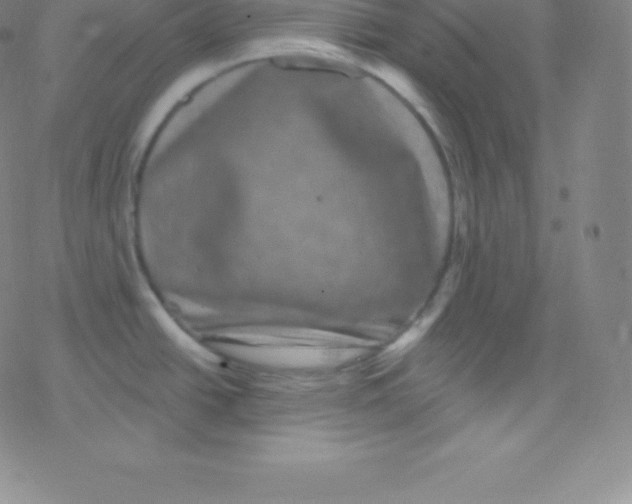 X0000077351438200611101603