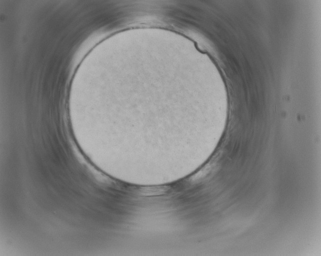 X0000077351440200611101603