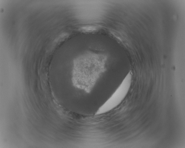 X0000077351441200611101602