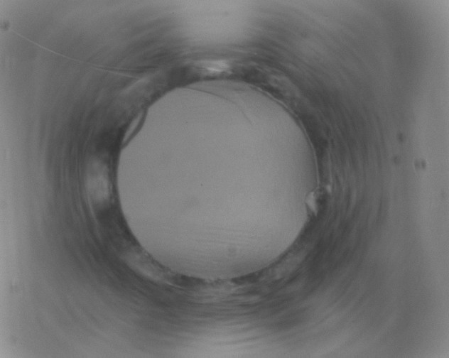 X0000077351442200611101602