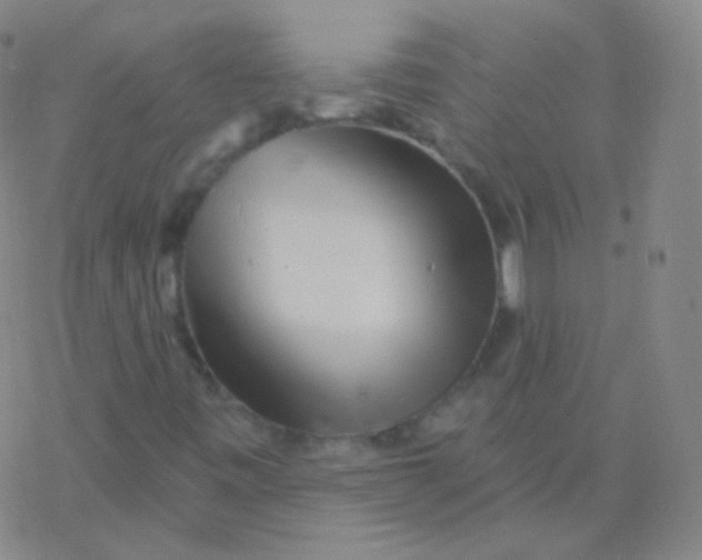 X0000077351443200611101602