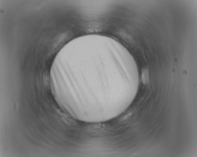 X0000077351444200611101602