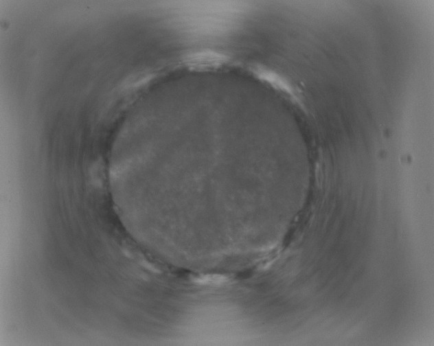 X0000077351445200611101602