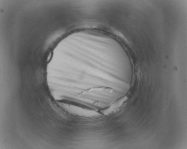 X0000077351448200611101602