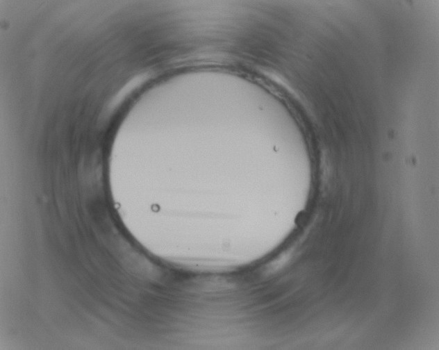 X0000077351450200611101602