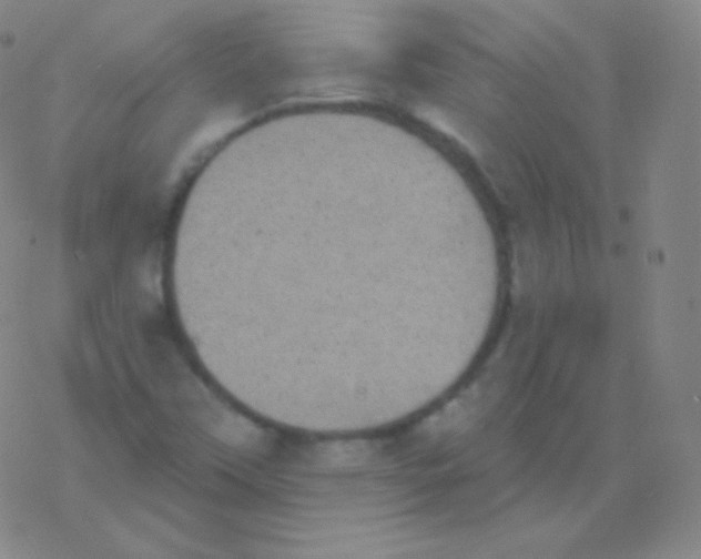 X0000077351451200611101602