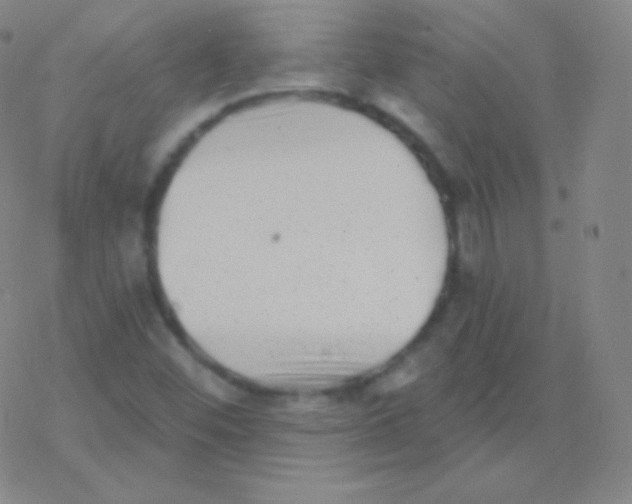 X0000077351452200611101602