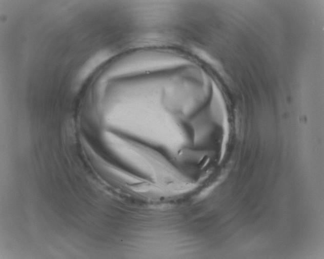 X0000077351453200611101602