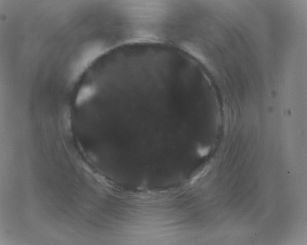 X0000077351455200611101602