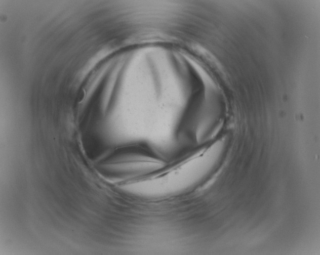 X0000077351457200611101602